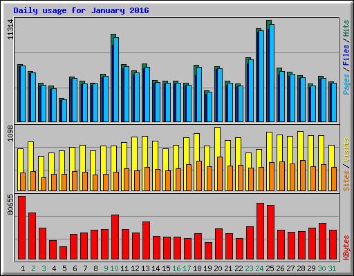 Daily usage for January 2016