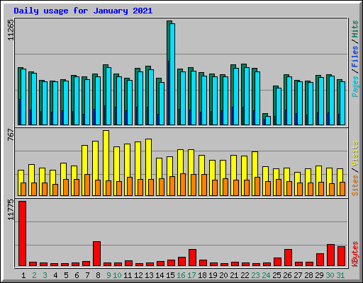 Daily usage for January 2021