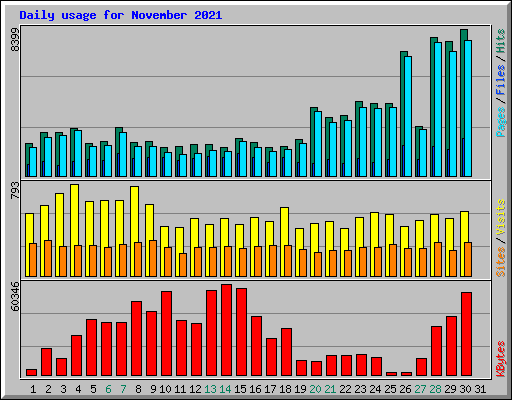 Daily usage for November 2021