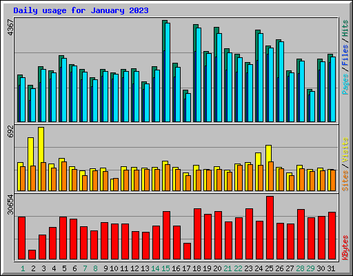 Daily usage for January 2023