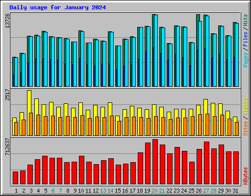 Daily usage for January 2024