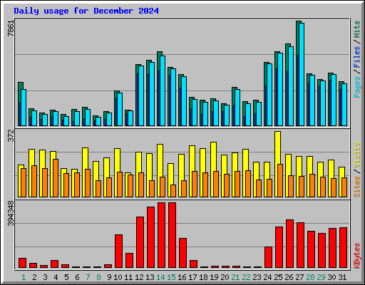 Daily usage for December 2024