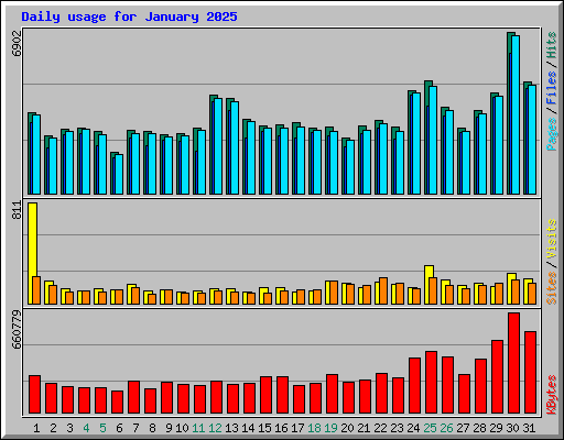 Daily usage for January 2025