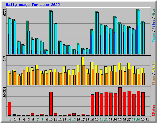 Daily usage for June 2025