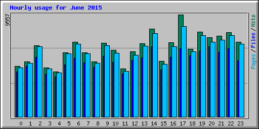 Hourly usage for June 2015