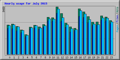 Hourly usage for July 2015