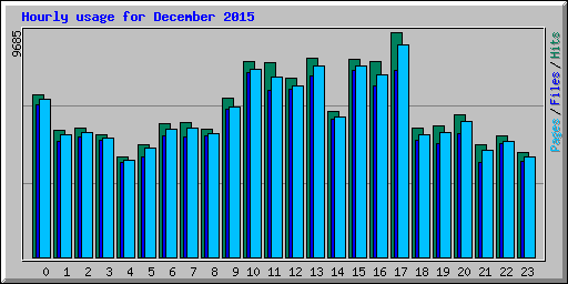 Hourly usage for December 2015