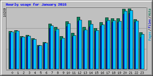 Hourly usage for January 2016