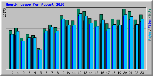 Hourly usage for August 2016