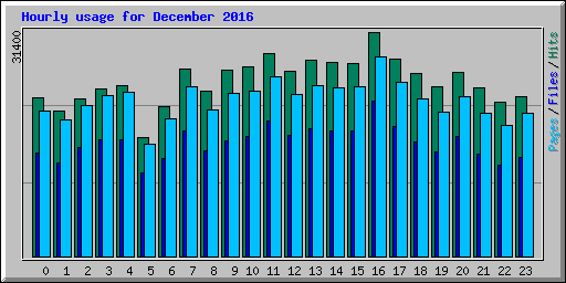 Hourly usage for December 2016