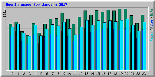 Hourly usage for January 2017