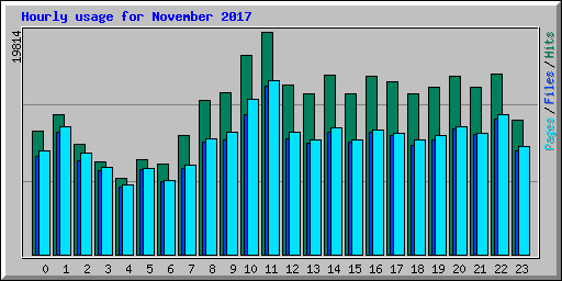 Hourly usage for November 2017