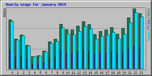 Hourly usage for January 2019