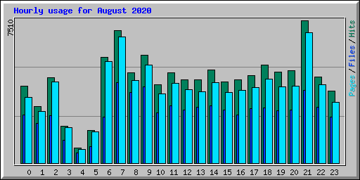 Hourly usage for August 2020