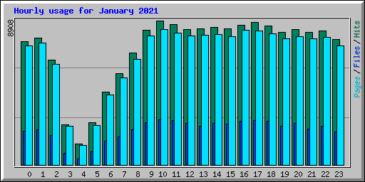 Hourly usage for January 2021