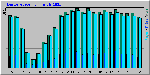 Hourly usage for March 2021