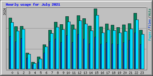 Hourly usage for July 2021