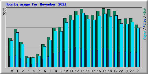 Hourly usage for November 2021