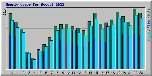 Hourly usage for August 2022