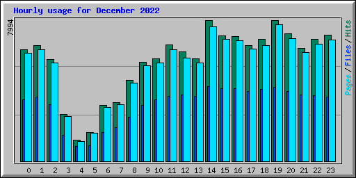 Hourly usage for December 2022