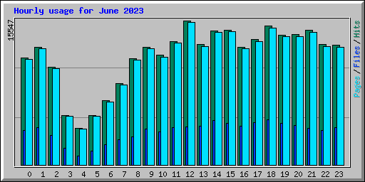 Hourly usage for June 2023