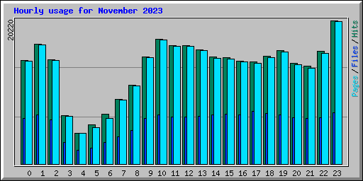 Hourly usage for November 2023