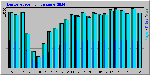 Hourly usage for January 2024