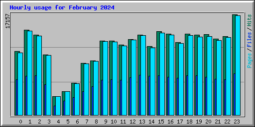 Hourly usage for February 2024