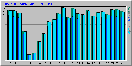 Hourly usage for July 2024