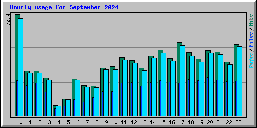 Hourly usage for September 2024