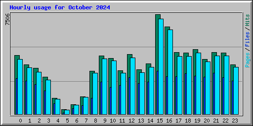 Hourly usage for October 2024
