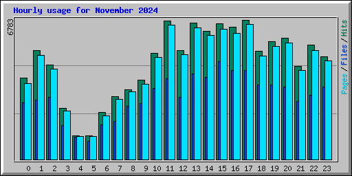 Hourly usage for November 2024