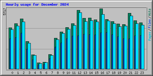 Hourly usage for December 2024