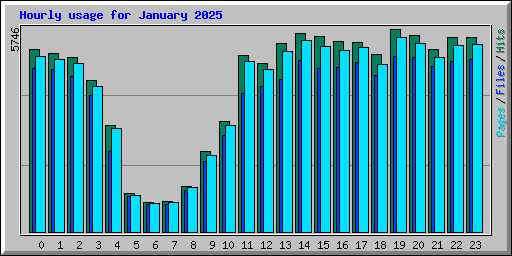 Hourly usage for January 2025