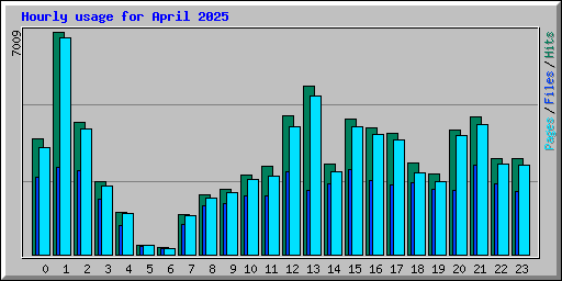 Hourly usage for April 2025