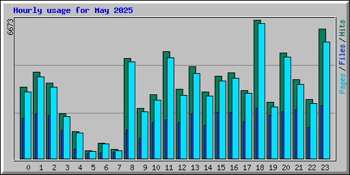 Hourly usage for May 2025
