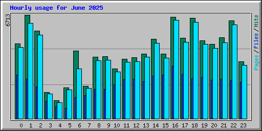 Hourly usage for June 2025
