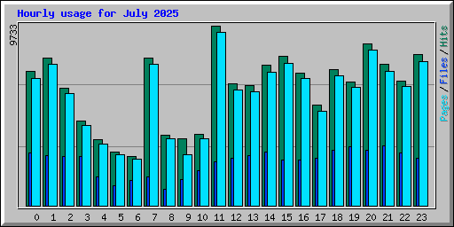 Hourly usage for July 2025