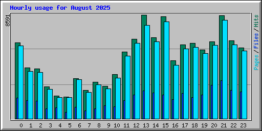 Hourly usage for August 2025