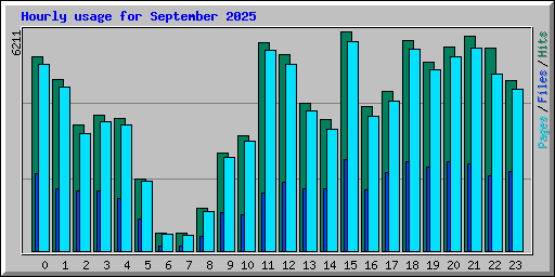 Hourly usage for September 2025