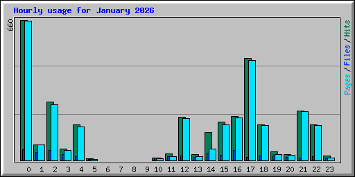 Hourly usage for January 2026